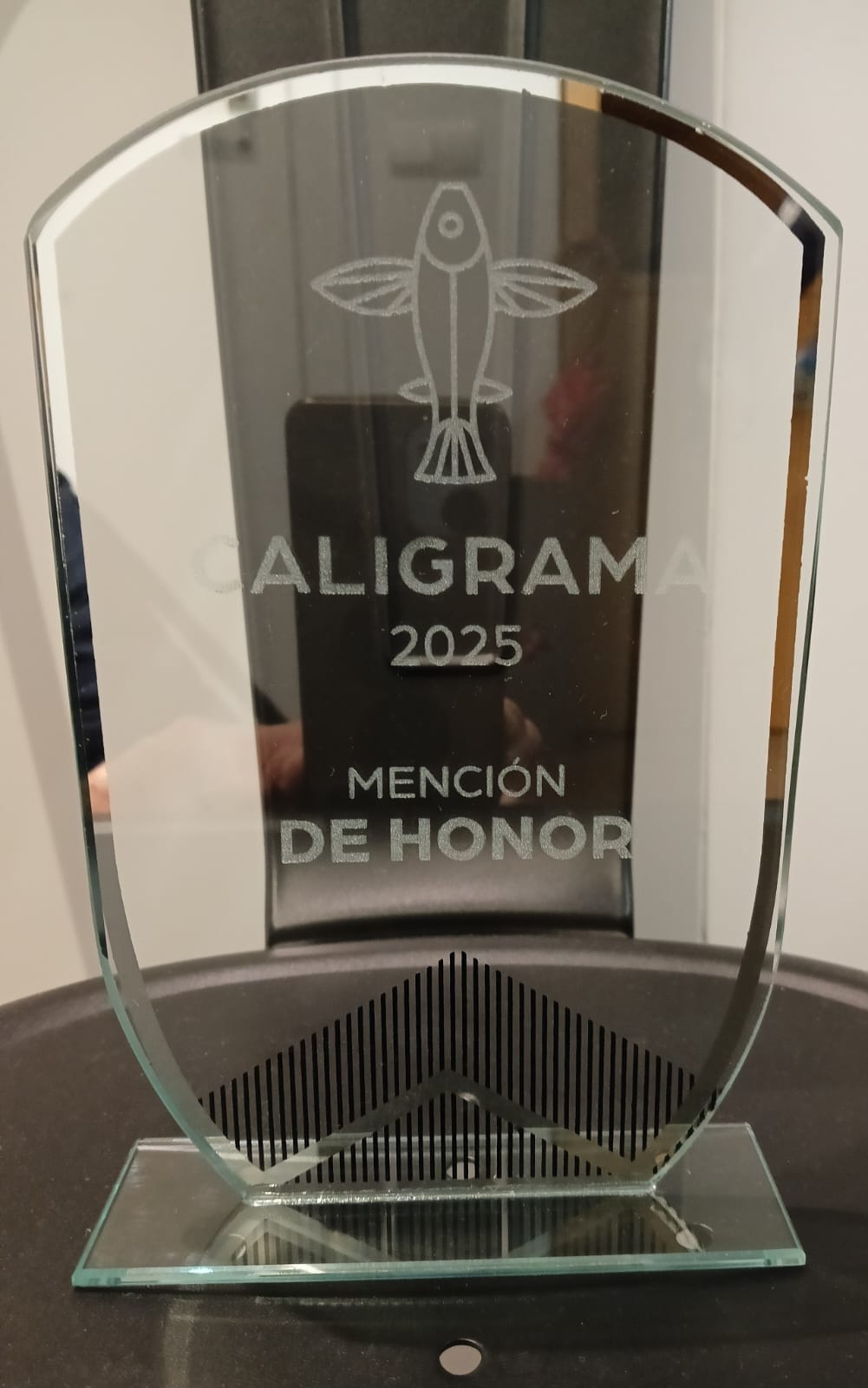 pragmatica david martin matas mencion honor premios talento caligrama